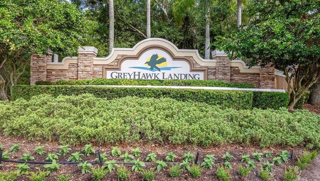 Greyhawk Landing_1024x579